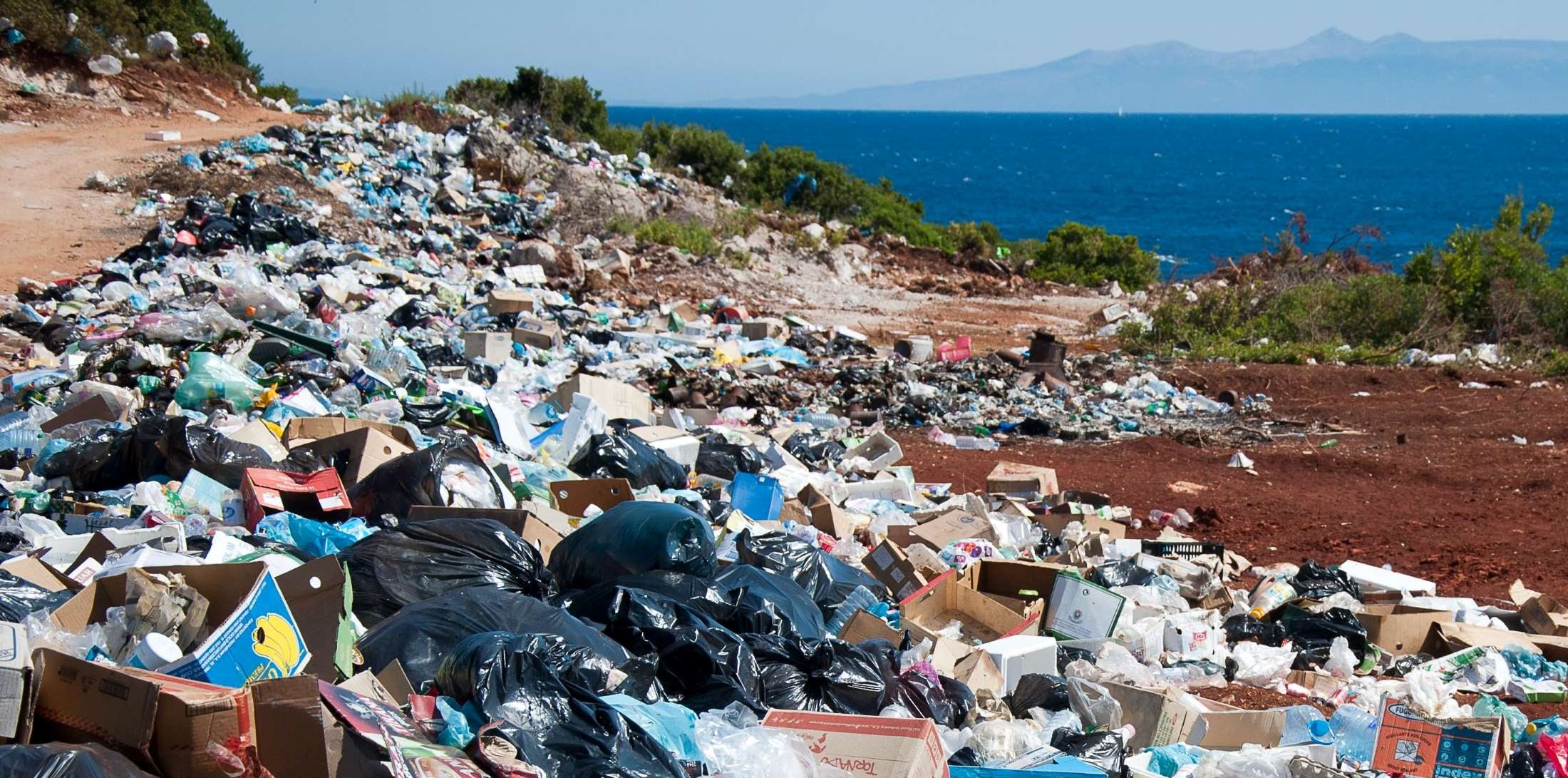 clay litters end up in landfills