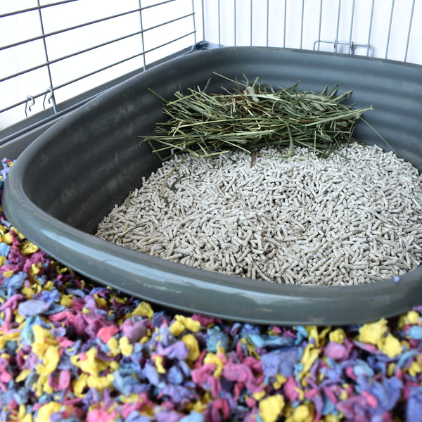 carefresh rabbit and ferret litter