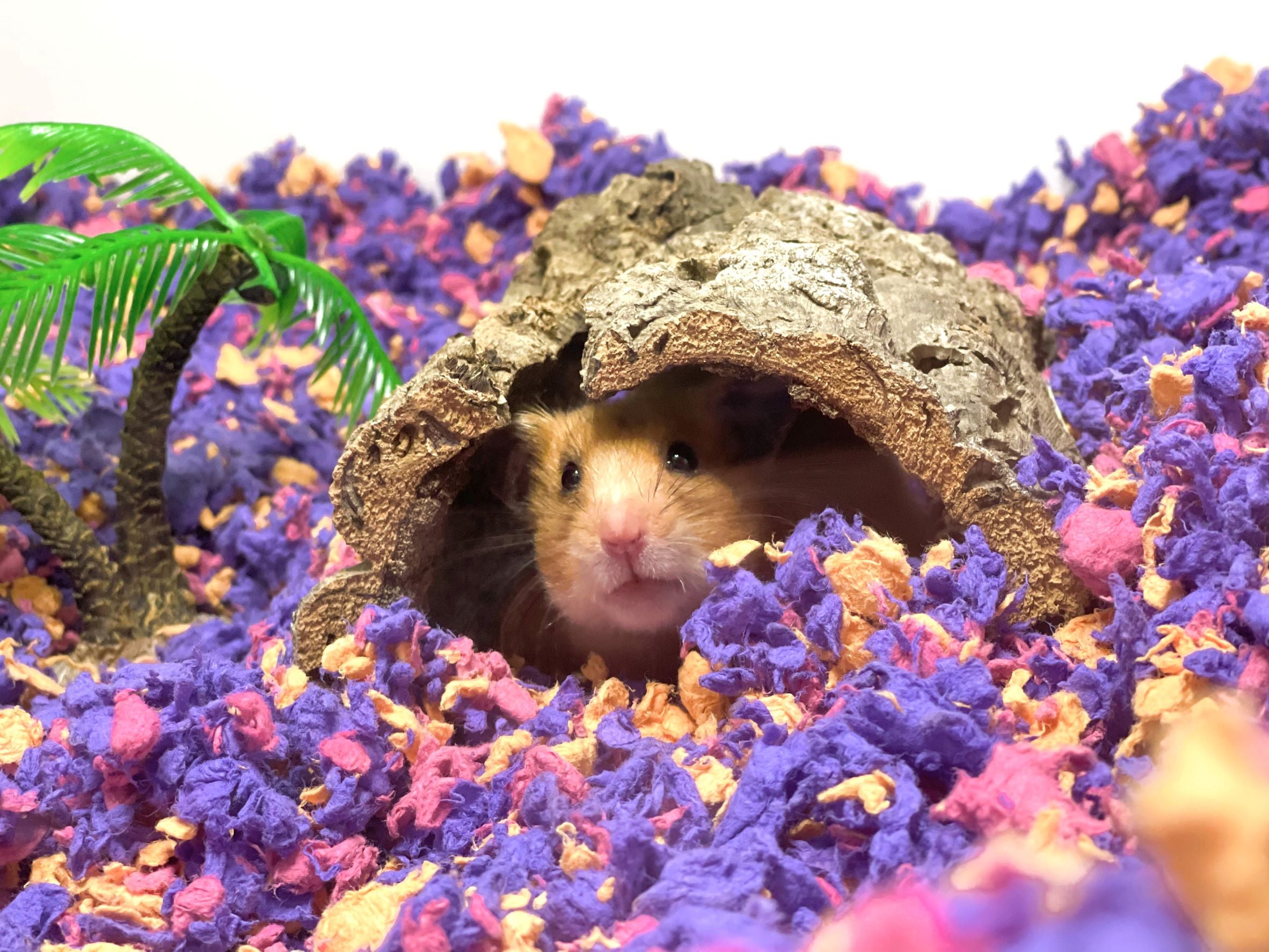 beach party hamster bedding