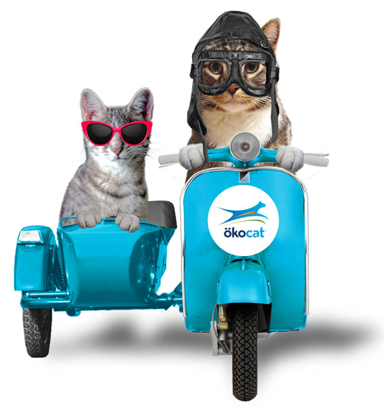 Klaus and Juno okocat