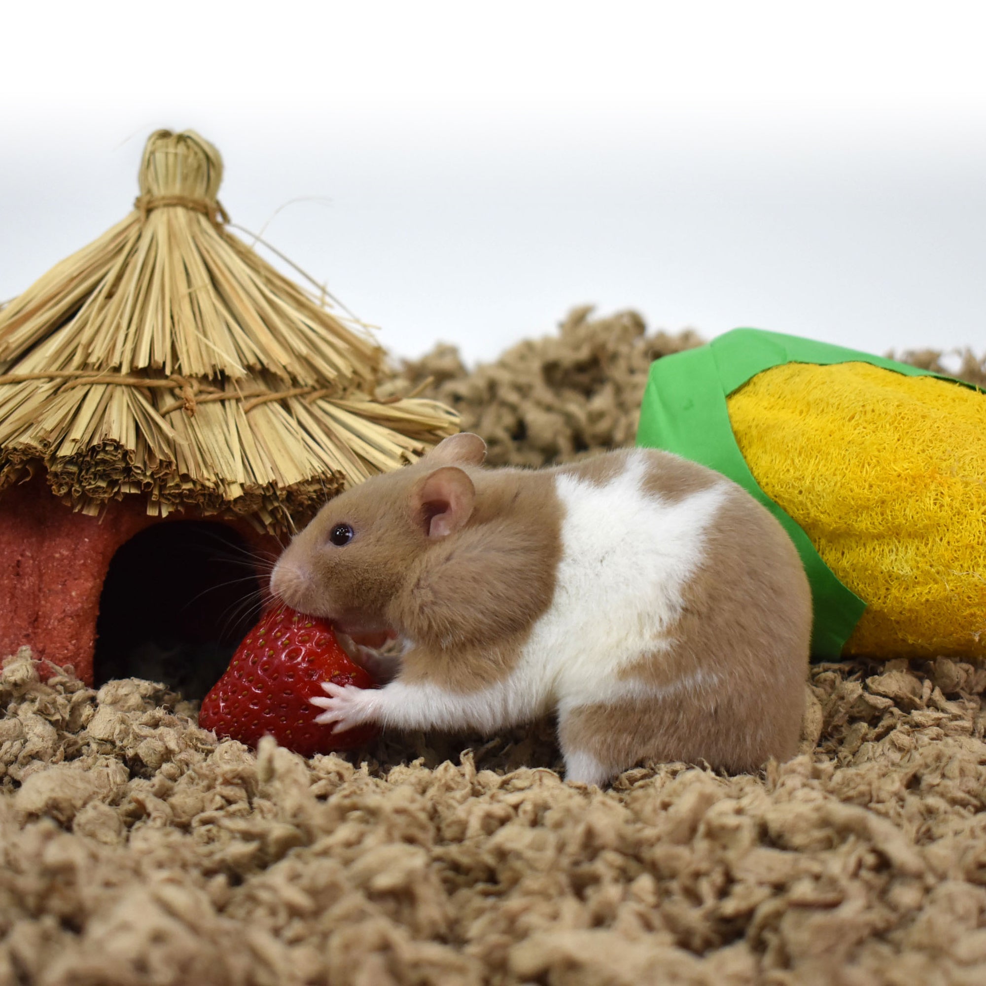 ["fillerId", "https://cdn.shopify.com/s/files/1/0037/0268/5745/files/natural.jpg?25102", "CritterCare Natural pet bedding pet in habitat"]