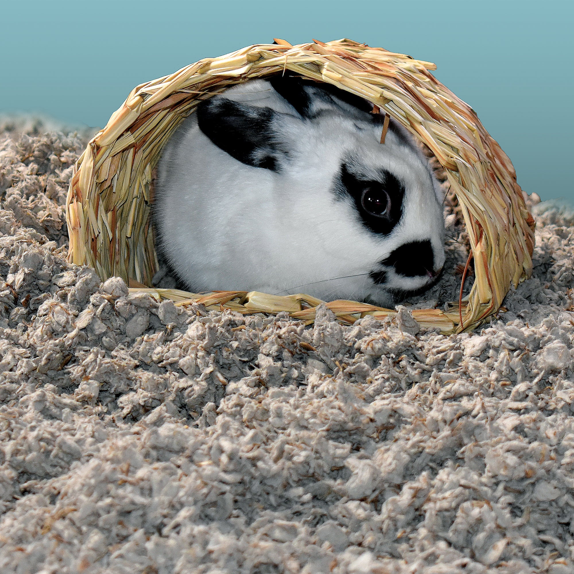 ["fillerId", "https://cdn.shopify.com/s/files/1/0037/0268/5745/files/Natural_Nesting_in-habitat.jpg?22456", "carefresh nesting small pet bedding natural bunny in habitat"]