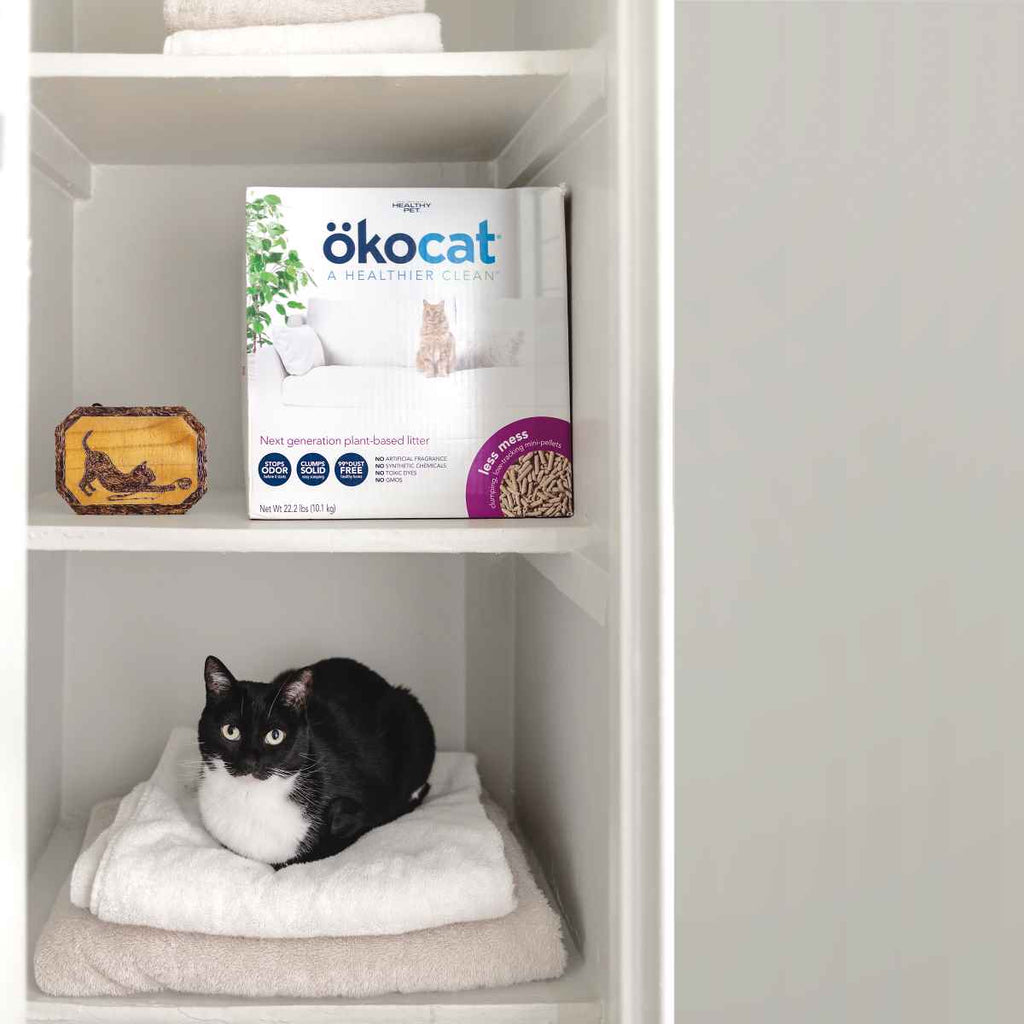 okocat litter