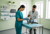 How to Reduce Cat Stress During Vet Visits