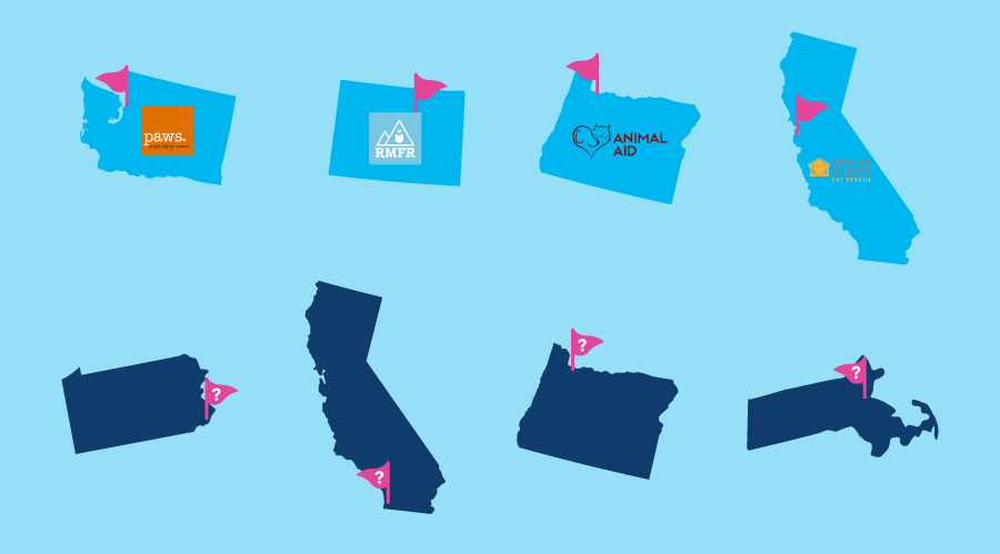 okocause cities 2019 okocat litter donation