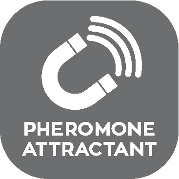 Pheromone Attractant.